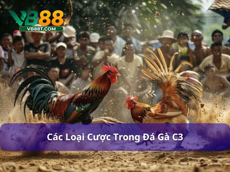 Đá gà C3 cung cấp nhiều loại cược khác nhau