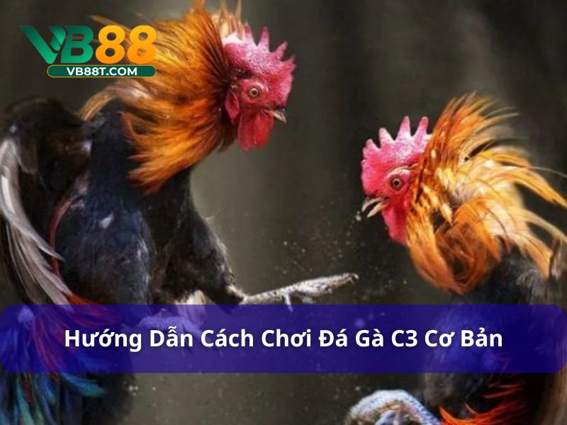 Cách chơi đá gà C3