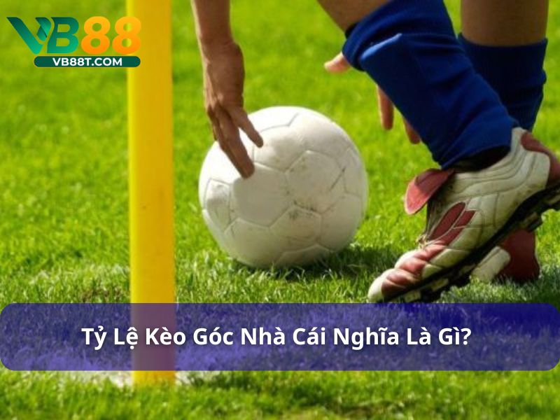 Kèo góc nhà cái có tỷ lệ biến động
