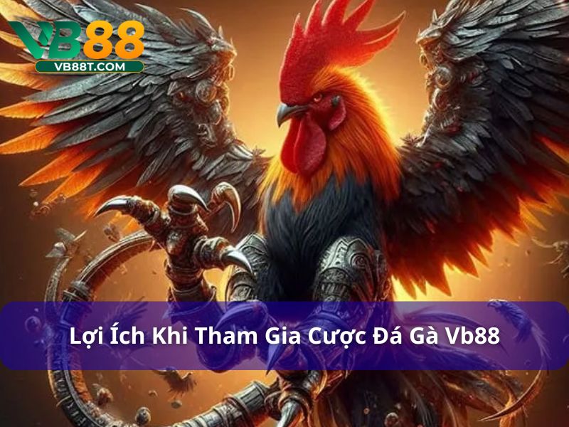 Lợi ích khi chọn Vb88 để tham gia cược đá gà