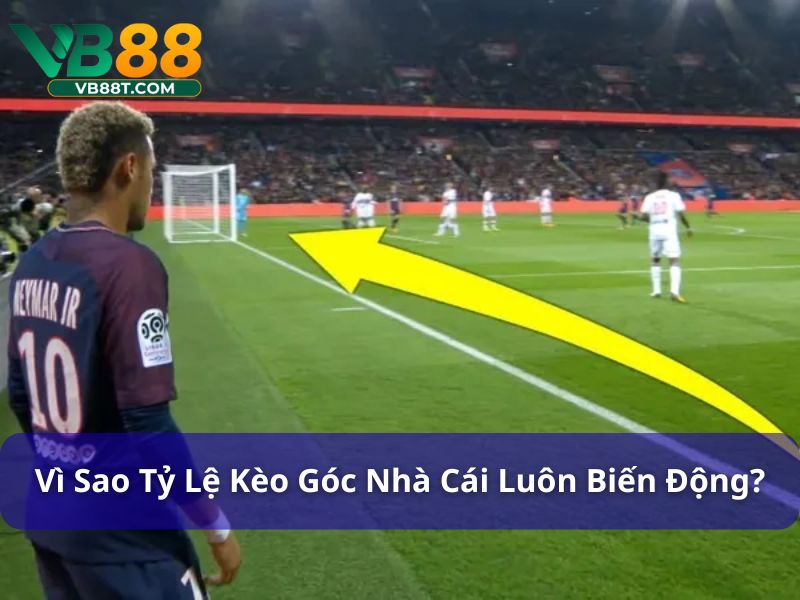 Lý do kèo góc được nhiều người lựa chọn