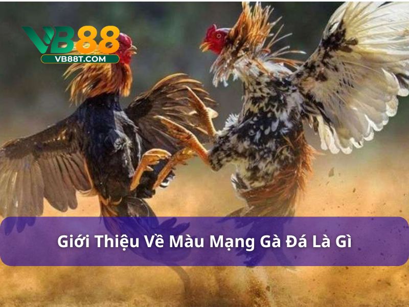 Tìm hiểu về màu mạng đá gà