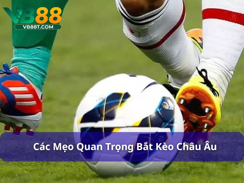 Mẹo chơi kèo châu Âu cần áp dụng