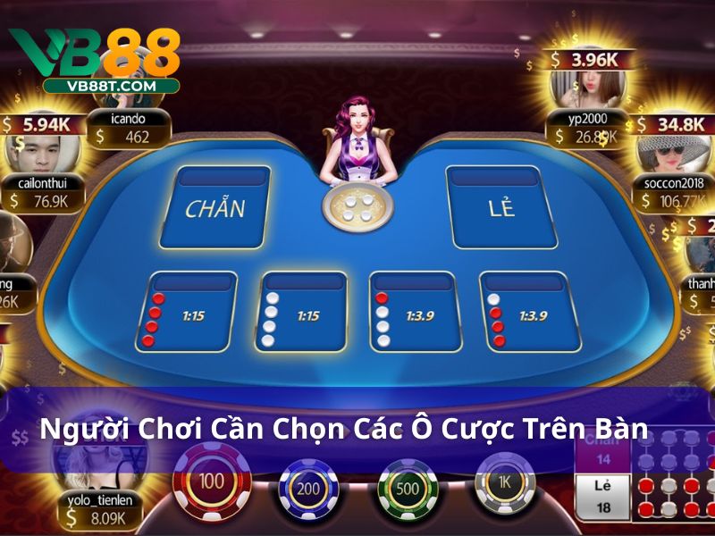 Người chơi cần chọn các ô cược trên bàn