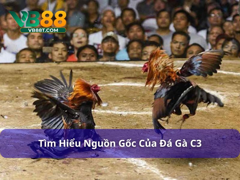 Tìm hiểu nguồn gốc của đá gà C3