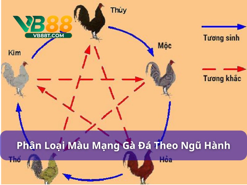 Mỗi giống gà sẽ tương ứng với một hành riêng