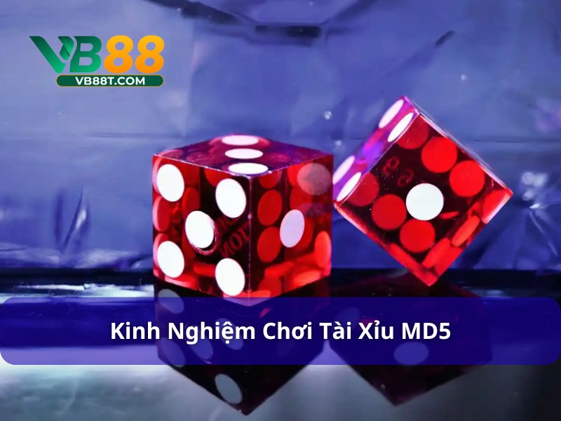 Cược gấp thếp tăng cơ hội thắng với tài xỉu MD5